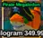 Pirate Megalodon Fish It! - Roblox Ikan (Fish It!)