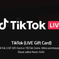 Jual TikTok LIVE Gift Card 200.000 IDR [800 Coins] Koin TikTok Gift Card Morishop Diamond | VCGamers