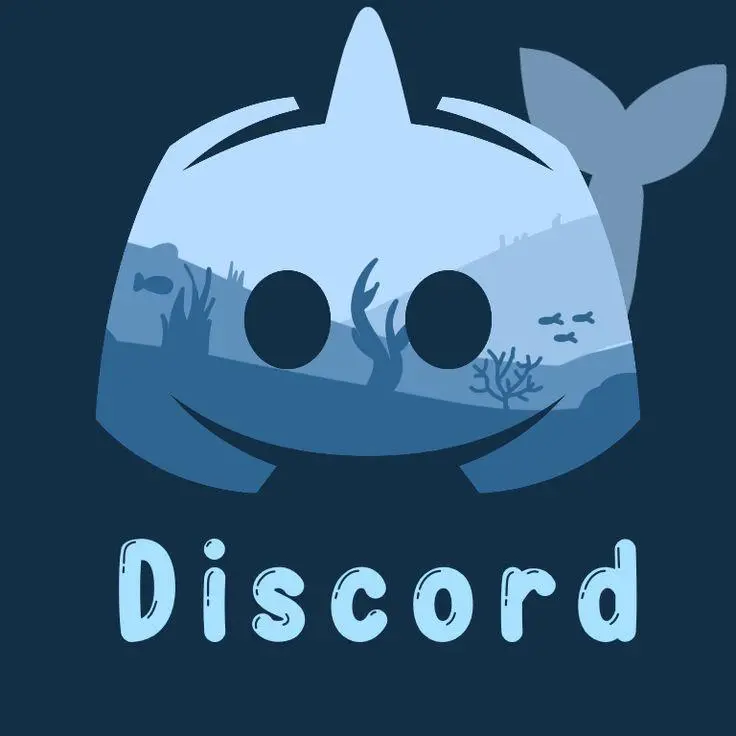 Jual 1 Tahun Nitro Boost Discord Zaps Store | VCGamers