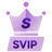 SVIP-1 day VSPhone SVIP