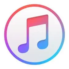 banner-home