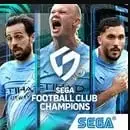 banner-home