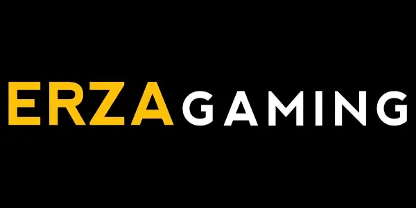 Daftar Produk Erza Gaming Terlaris & Terlengkap - VCGamers
