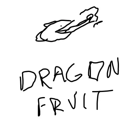 Jual DRAGON FRUIT BLOXFRUIT VIA TRADE Roblox NYOMAN STORE | VCGamers